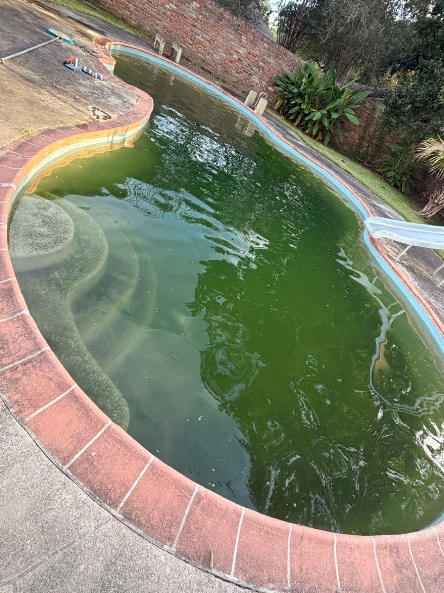 Kidney pool with slide before cleaning, green water